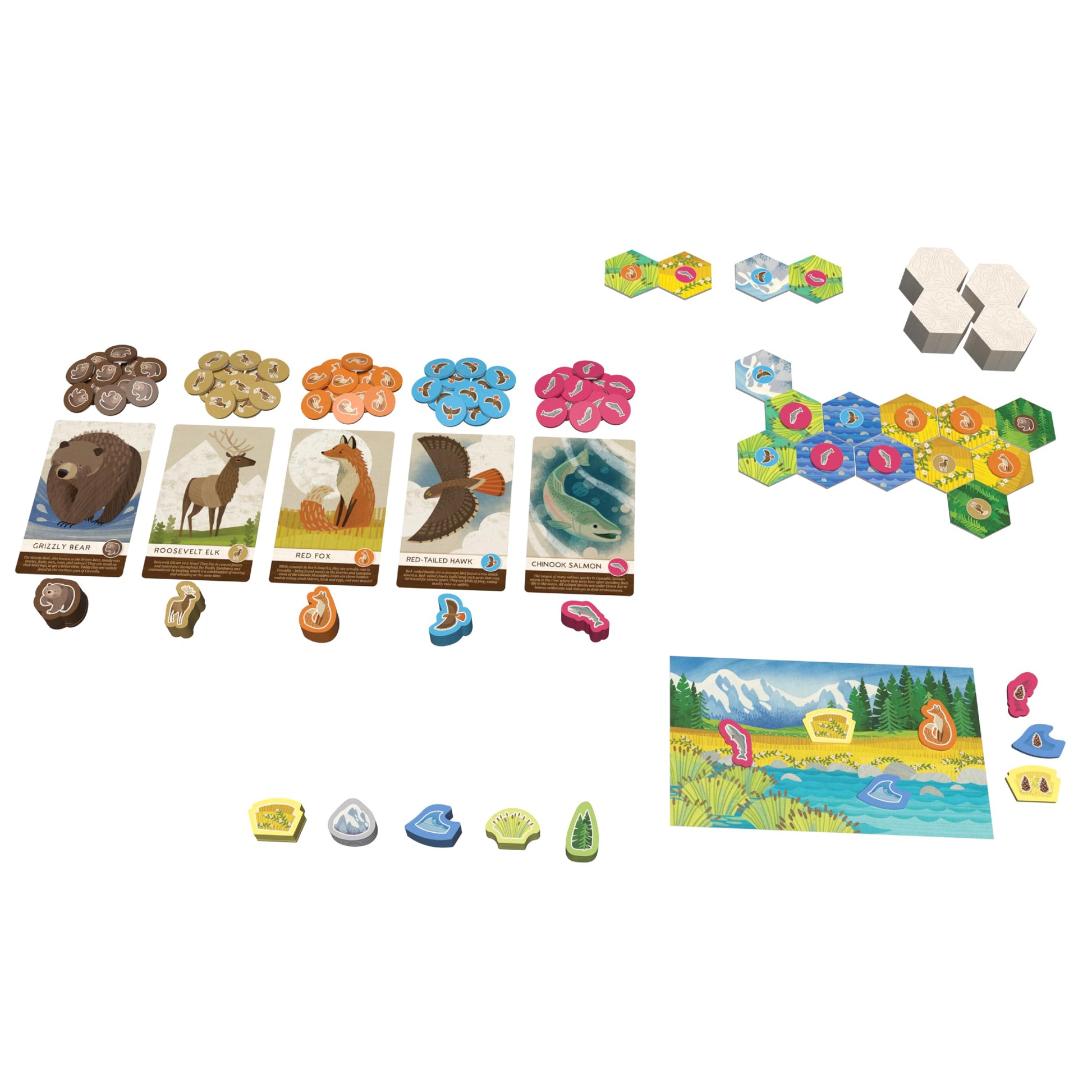 AEG & Flatout Games | Cascadia Junior - Based on The Award-Winning Board Game, Cascadia | 2-4 Players | Ages 6+ | Easy to Learn | Quick to Play |