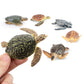 Toymany 6PCS Realistic Sea Turtle Figurines, Plastic Ocean Sea Animals Figures Set Includes of Turtles, Educational Toy Cake Toppers Christmas
