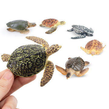 Toymany 6PCS Realistic Sea Turtle Figurines, Plastic Ocean Sea Animals Figures Set Includes of Turtles, Educational Toy Cake Toppers Christmas
