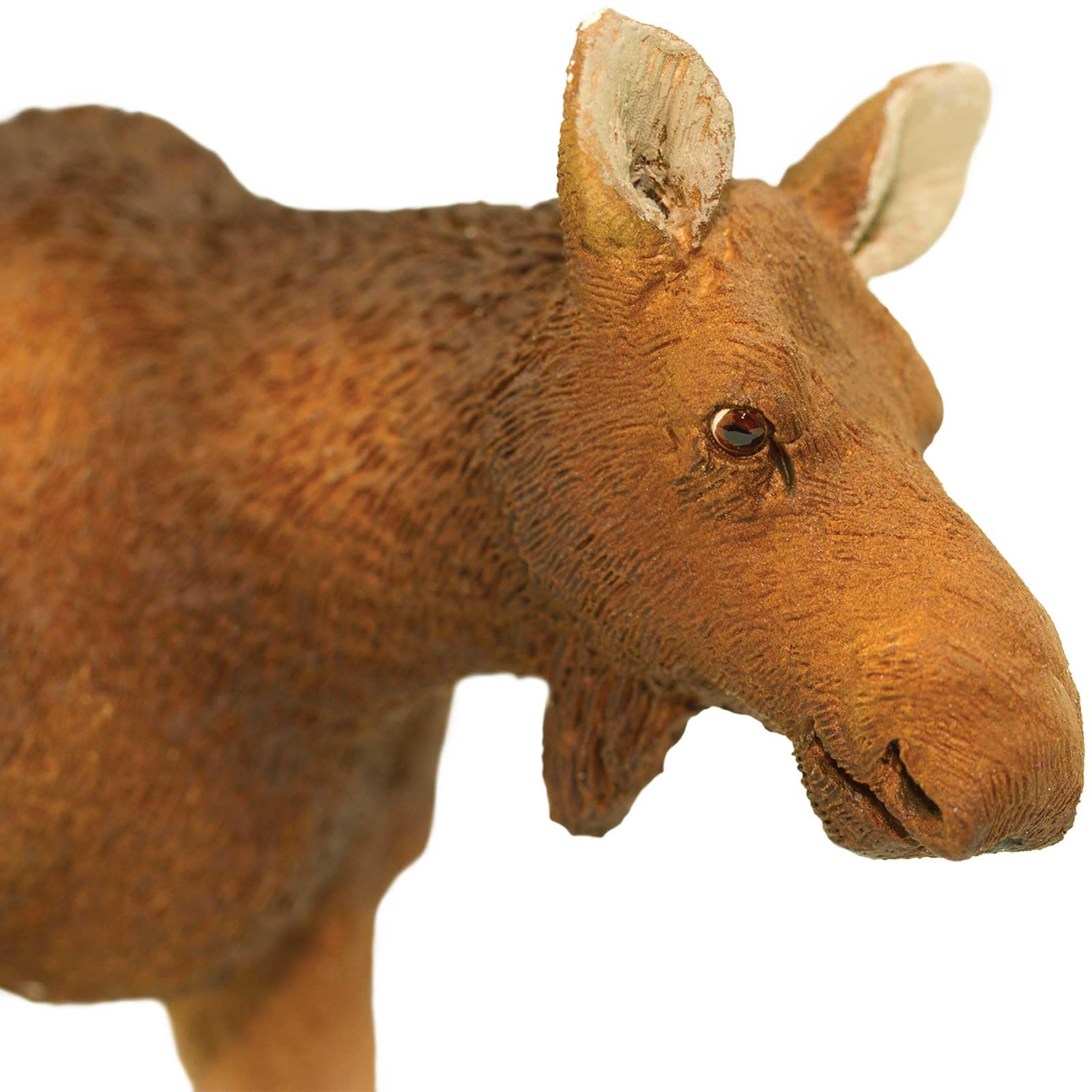 Safari Ltd. Cow Moose Figurine - Detailed 4.5" Plastic Model Figure - Fun Educational Play Toy for Boys, Girls & Kids Ages 1+
