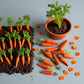 10Pcs Miniature Carrot Models, Artificial Vegetables for Mini Kitchen Decoration, Party Supplies