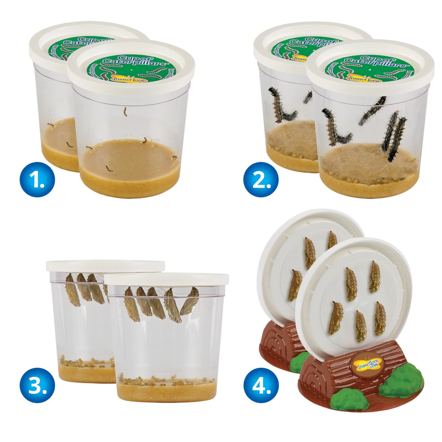 Butterfly Garden: Original Habitat and Two Live Cups of Caterpillars with Journal - Life Science & STEM Education - Butterfly Science Kit - Plus