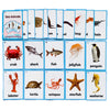 20PCS/Set Sea Animals Kids Gifts English Flash Cards Pocket Card Educational Learning Baby Toys for Children Pre-Kindergarten
