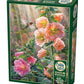 Cobble Hill 1000 Piece Puzzle - After the Rain - Sample Poster Included