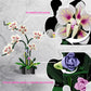 Orchid Flower Building Block Set,Compatible with Lego Flower Featuring Printed Floral Patterns on The Blocks' Petals, Ideal for Tabletop displays