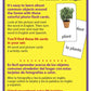 Around the Home (English / Spanish set) Skill Drill Flash Cards