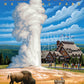 Boardwalk Yellowstone 500 Piece Jigsaw Puzzle Scenic Wildlife Wyoming Puzzles with Premium Box, Gift for Adults and Family 16"x20"