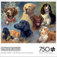 Buffalo Games - Treasured Friends - 750 Piece Jigsaw Puzzle for Adults