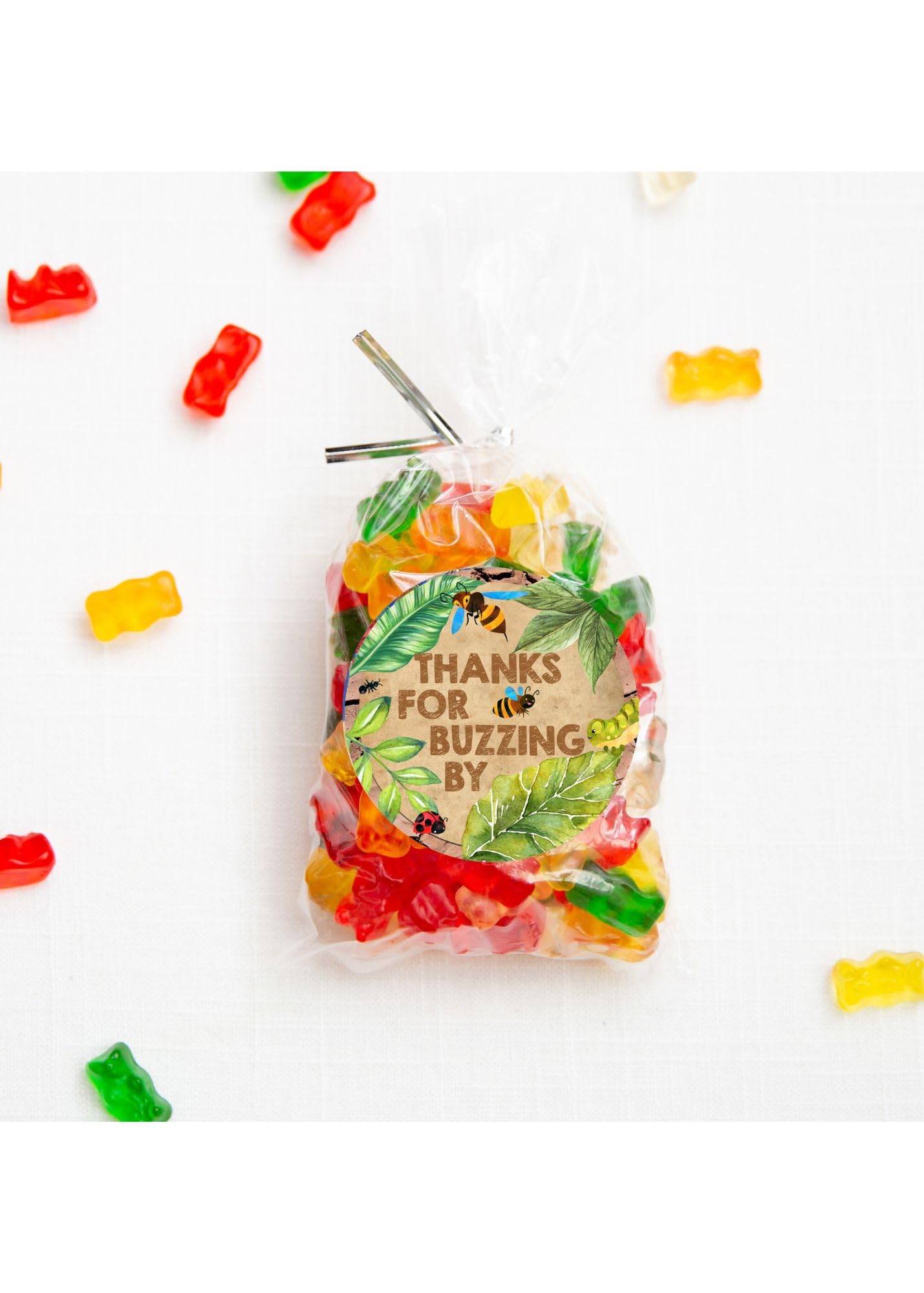Silly Goose Gifts Thanks for Buzzing by Bug Themed Kraft Birthday Party Supply Thank You Sticker Favors (24 Included)