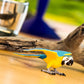 Safari Ltd. Blue and Gold Macaw Figurine - Detailed 4.5" Plastic Bird Figure - Educational Toy for Boys, Girls, and Kids Ages 3+
