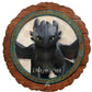 Hiccup and Toothless Birthday Party Supplies 6 pc Balloons Decorations