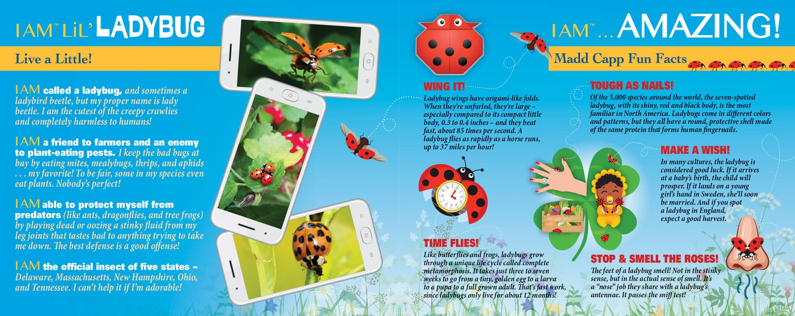 Madd CAPP Lil' Ladybug 100 Piece Jigsaw Puzzle for Ages 5 & Up- Unique Animal-Shaped, Poster-Sized, Pieces are Oversized, Includes Educational Madd