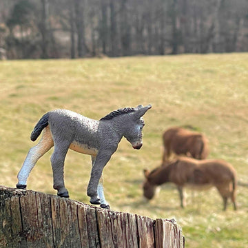 Safari Ltd. Donkey Figurine - Detailed 4" Plastic Model Figure - Fun Educational Play Toy for Boys, Girls & Kids Ages 3+