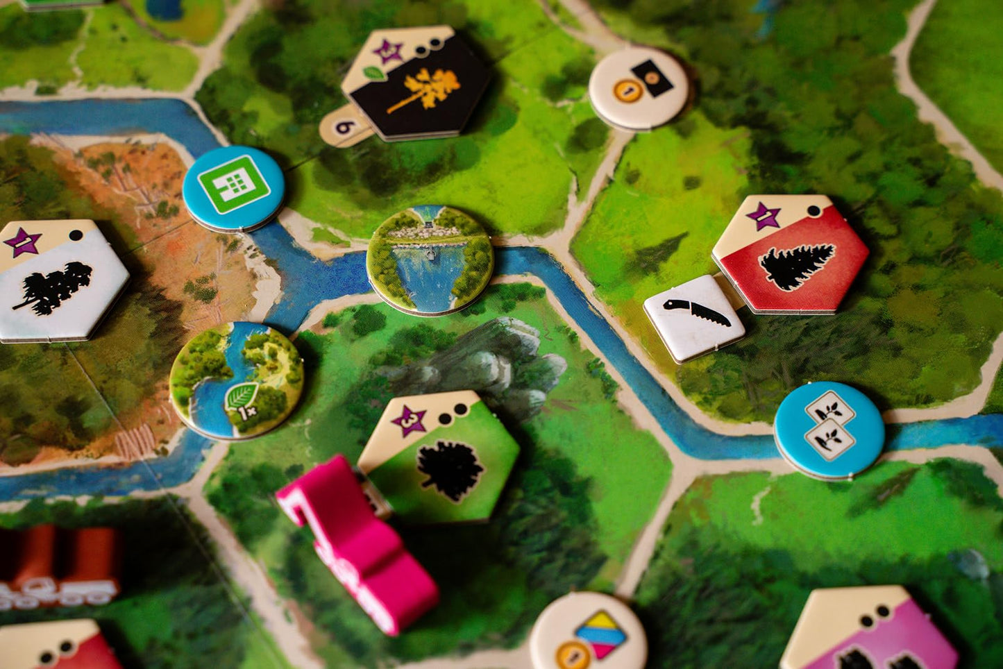Capstone Games Forestry Strategy Board Game for 1-4 Players Ages 14+