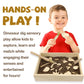 Dinosaur Excavation Archaeology Dig Kit for Kids, Fossil Explore Sensory Bin Toys, Dino Skeletons Bones Puzzle Game, Archaeology Science STEM Toys