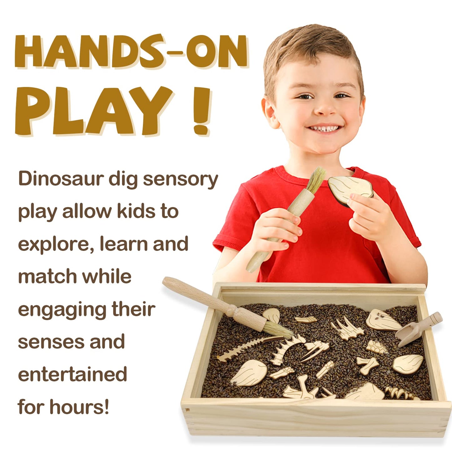 Dinosaur Excavation Archaeology Dig Kit for Kids, Fossil Explore Sensory Bin Toys, Dino Skeletons Bones Puzzle Game, Archaeology Science STEM Toys