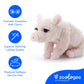 The Petting Zoo, Lash'z Pig Stuffed Animal, Gifts for Girls, Pig Plush Toy 12 inches