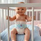 Reborn Baby Dolls Diapers for 17-24 inch Newborn Reusable 6-Piece Pack Fit