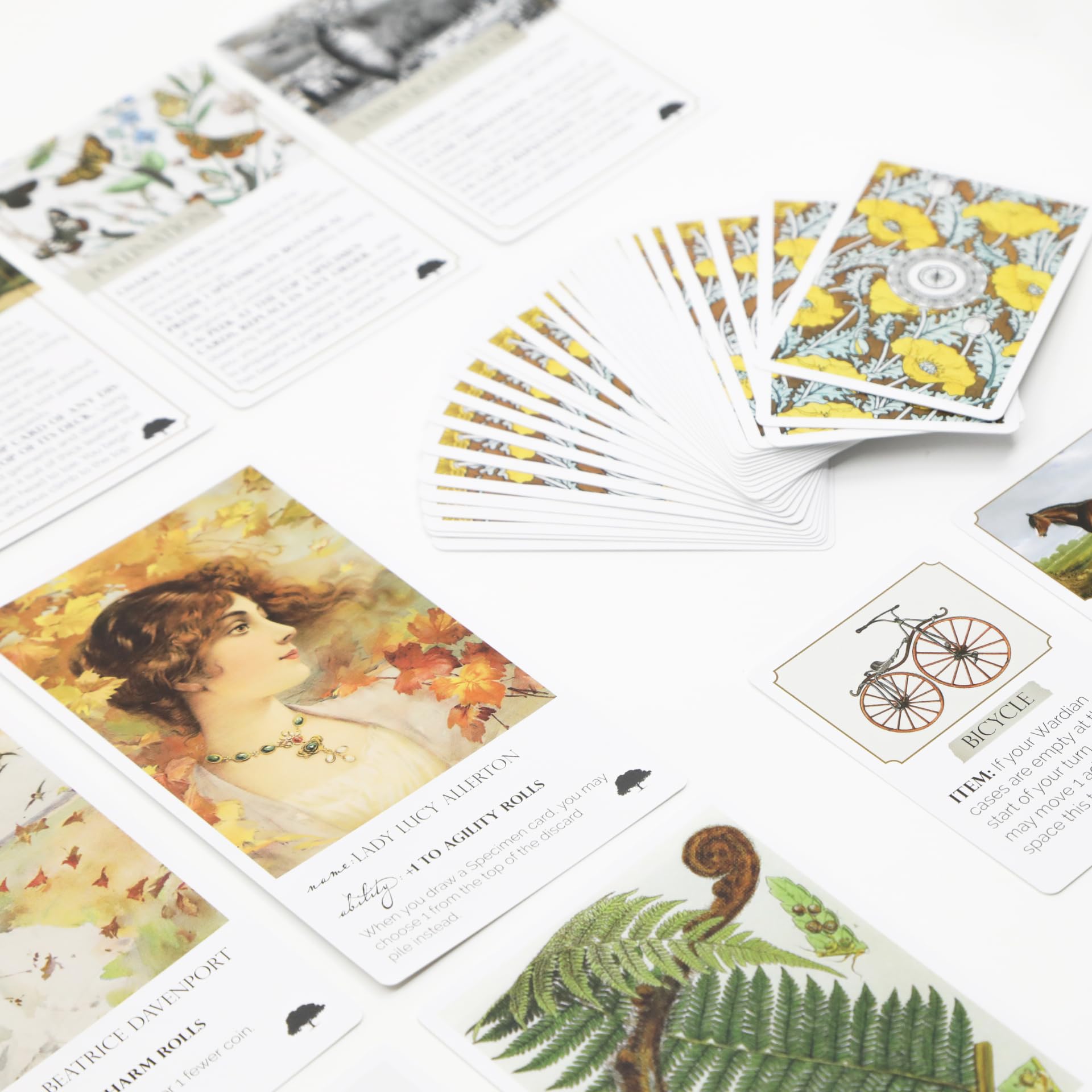 Botany: Tantalizing Trees Expansion | Family Strategy Game for Young Botanists and Adults | Ages 8+ | for 1-5 Players | Average Playtime 45-90 mins |