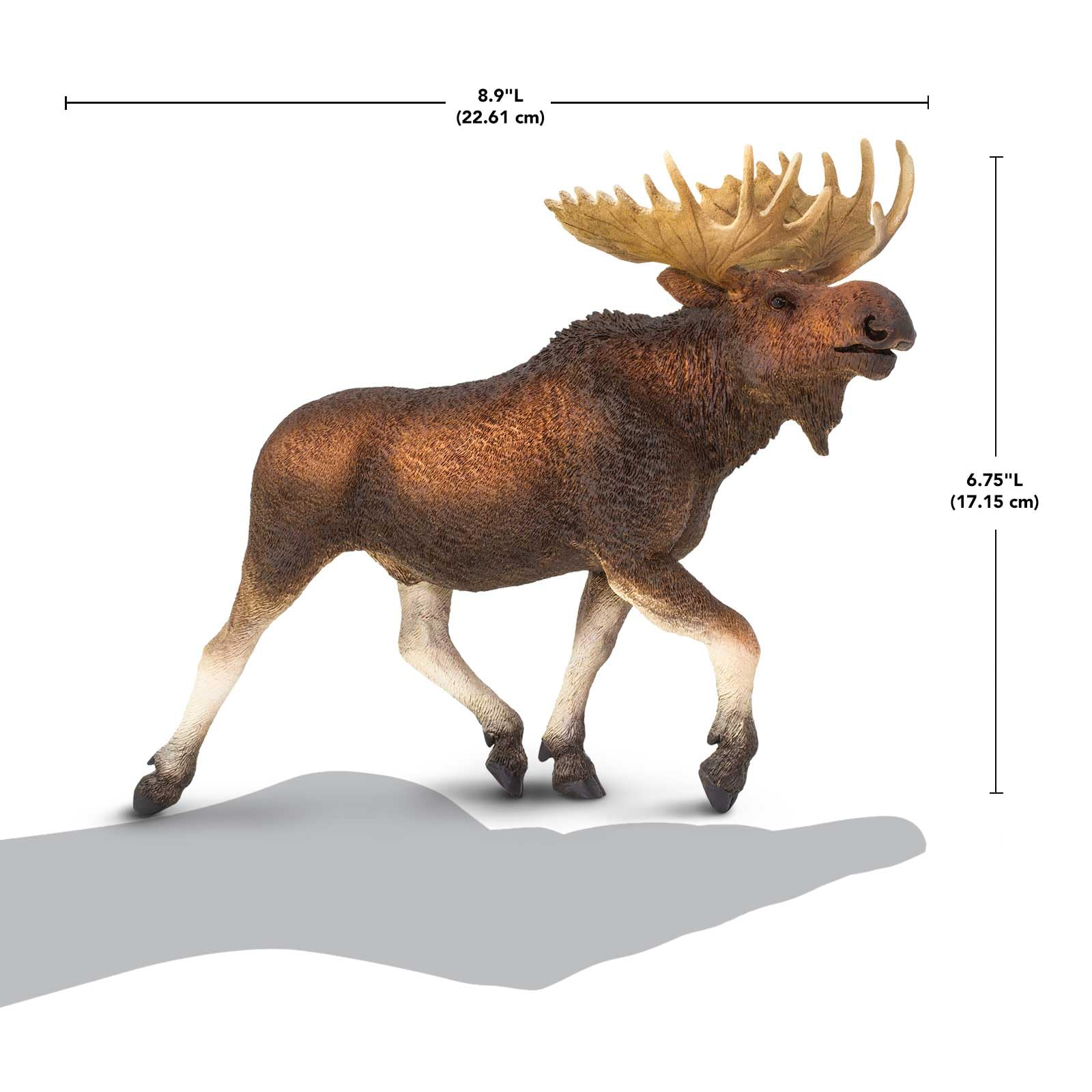 Safari Ltd. Moose Figurine - Detailed 8.9" Plastic Model Figure - Fun Educational Play Toy for Boys, Girls & Kids Ages 1+