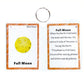 Set of Moon Phase Flash Cards for Toddlers(9 Count) | Kids Learning Flashcard & Montessori Pocket Cards | Perfect for Pre-K Decor Background Wall