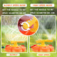 Water Sprinkler for Kids Toddlers Sprinklers with Roating Spray Nozzles Attaches Garden Water Hose Outdoor Play Outside Toys 3-4 Summer Backyard Lawn