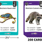 Teacher Created Resources SpellChecked Card Game (EP66111)