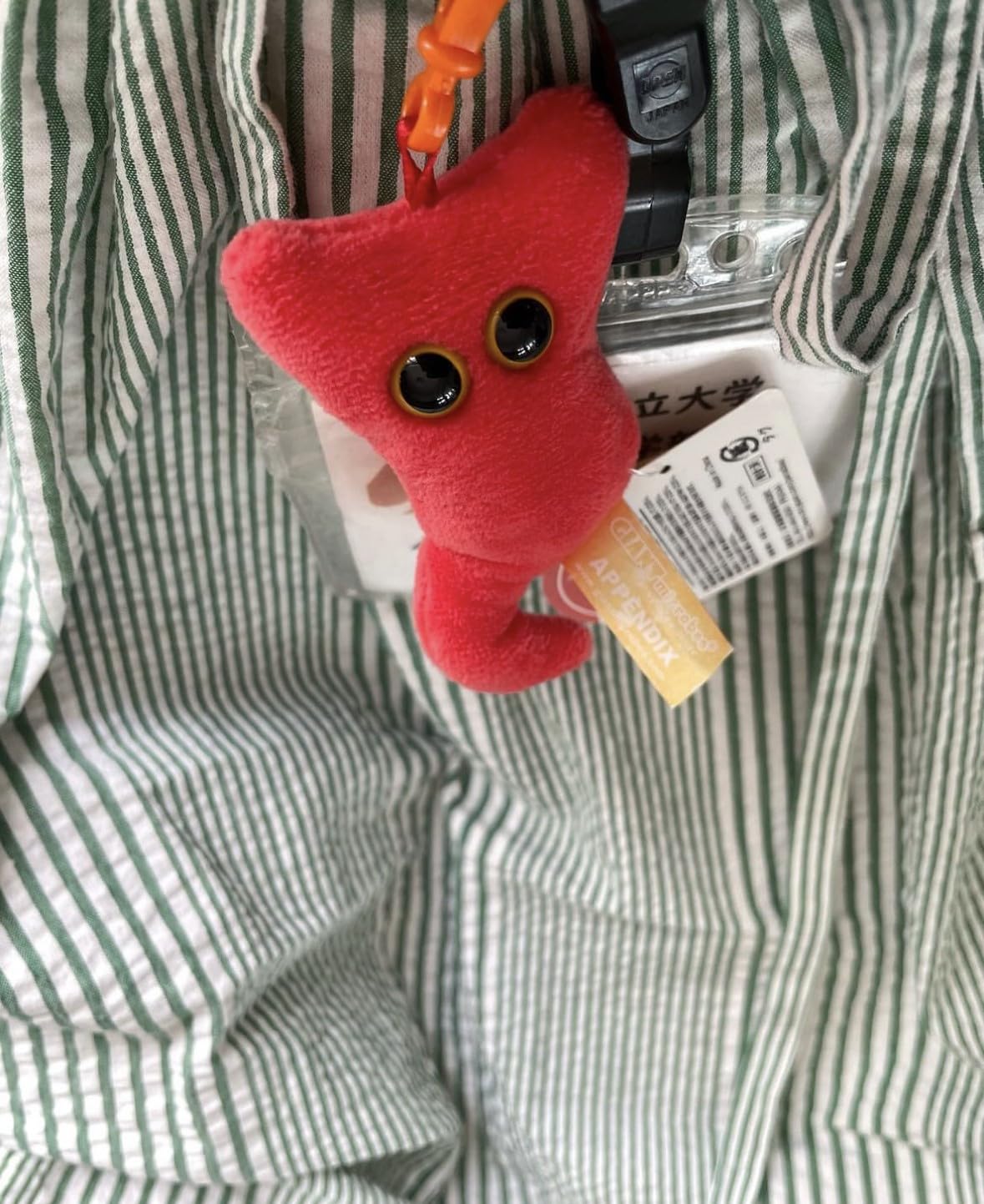 GIANT MICROBES Appendix Plush Keychain - Educational Adorable Plush Anatomical Organ Toy, Unique Get Well Gift