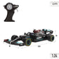 Maisto 1:24 Premium RC F1 MERCESDES 2021 Season L Hamilton (M82355)