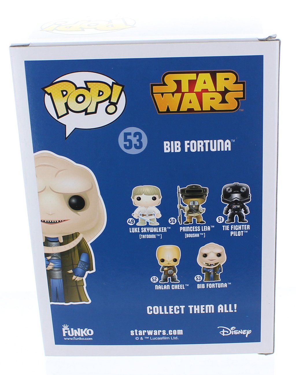 Bib Fortuna