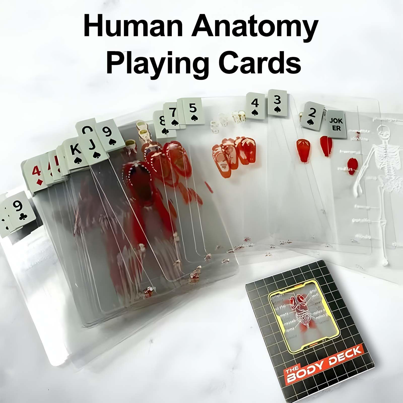 Dexprosy Human Anatomy Playing Cards - Body Deck with 3D Images, Waterproof Transparent Card Deck for Doctors, Nurses, Medical Students & Educators