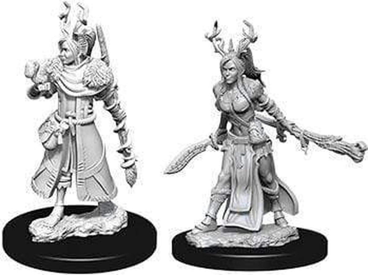 D&D Nolzur's Marvelous Miniatures - Female Human Druid