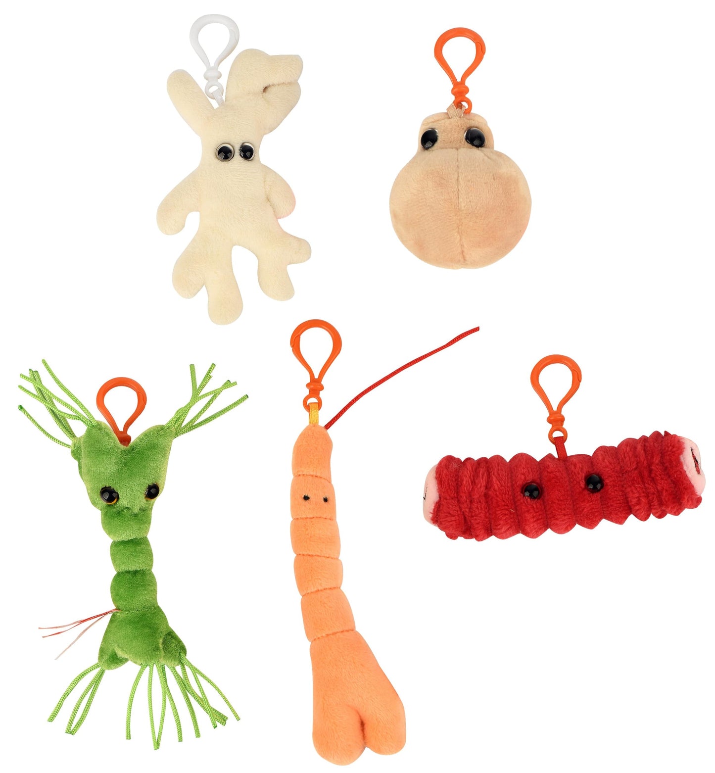 GIANT MICROBES Body Cells Themed Gift Box, Biology Gifts, Science Teacher Gifts, Cell Biology, Cell Plush, Bag Charms