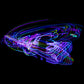 The Hoop Shop Light Up LED Hula Hoop Designed and Hand Crafted in Michigan with Beautiful Auto Strobing Rainbow Lights