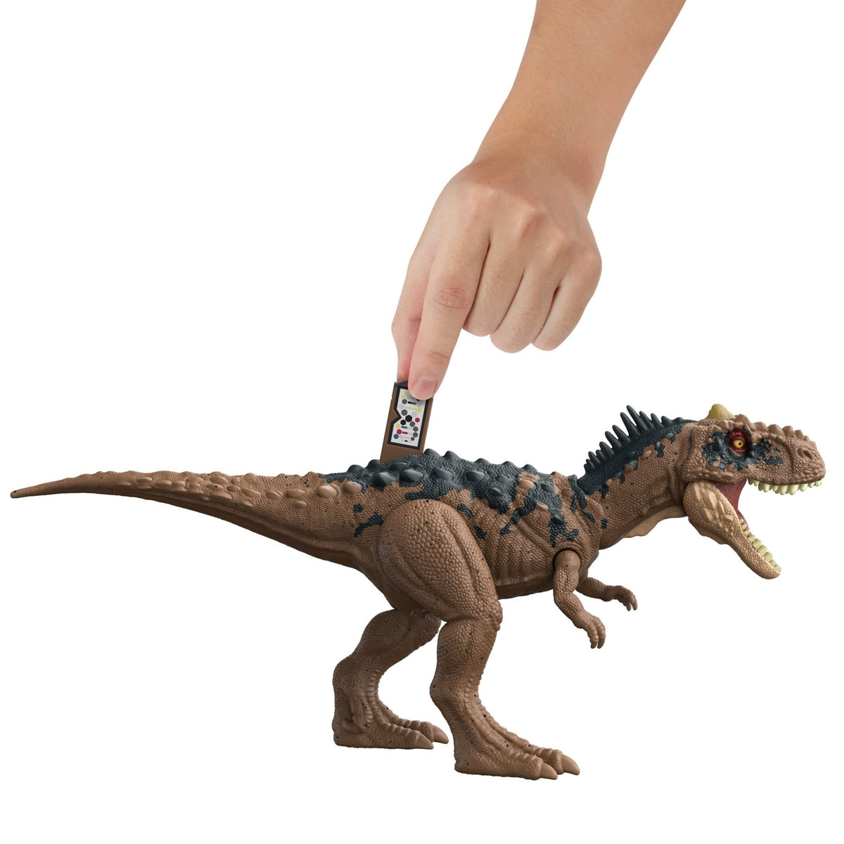 Mattel Jurassic World Dominion Roar Strikers Dinosaur Action Figure with Roaring Sound & Attack Action, Rajasaurus Dino Toy Includes Digital Play