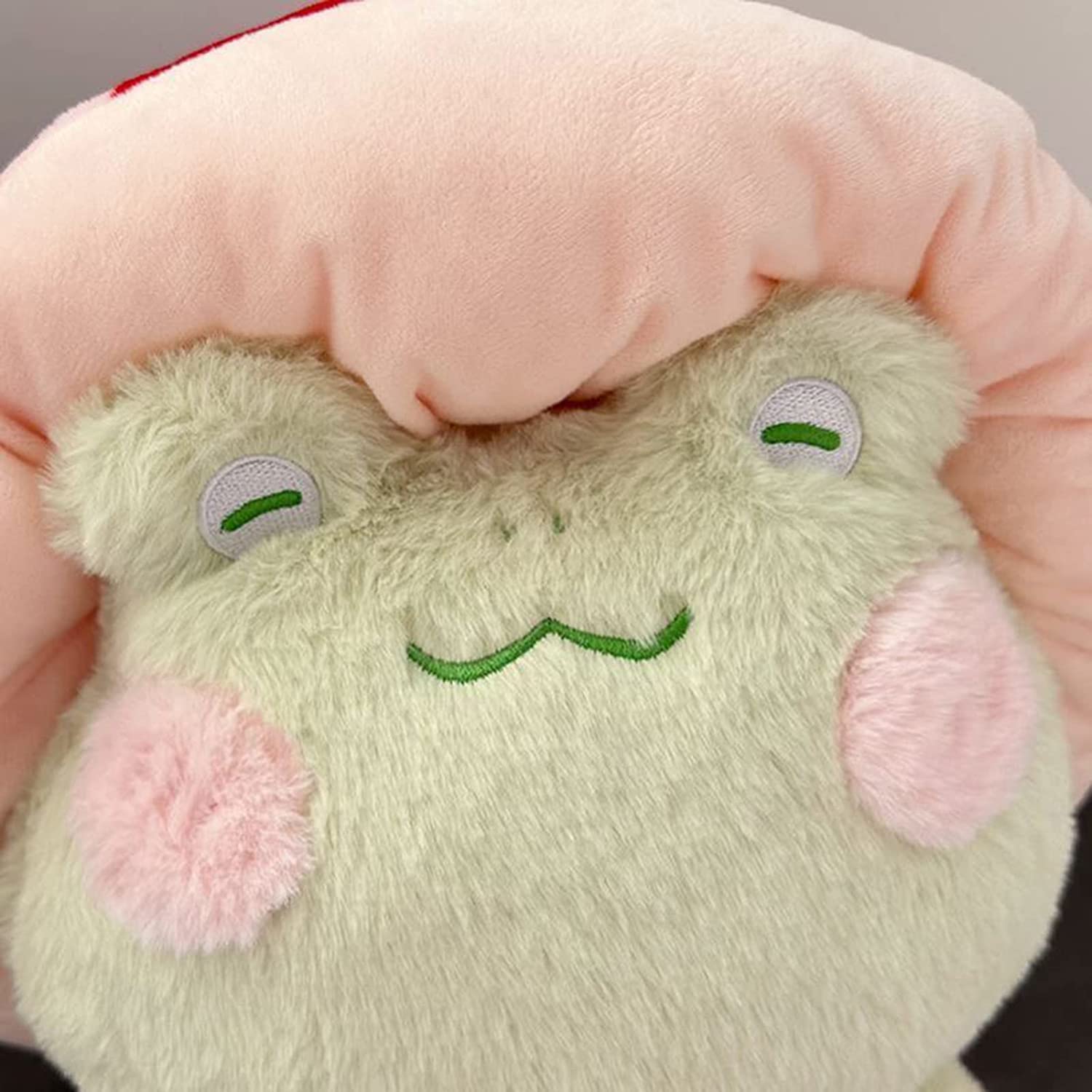 Enivtfz Frog Plush Toys, 10" Cute Frog with Red Mushroom Hat Stuffed Animals, Kawaii Plushies Gift for Kids Girls Adults Valentines Birthdays