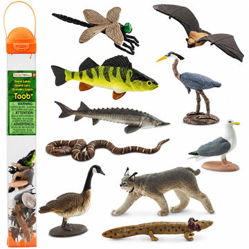Safari Ltd. Great Lakes TOOB - Figurines of Mudpuppy, Dragonfly, Water Snake, Bat, Goose, Herring Gull, Blue Heron, Lynx, Sturgeon, Yellow Perch