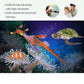 Volnau Sea Creature Toys Figures 7PCS Indian Ocean Shark Animal Figurines for Toddlers Kids Christmas Decoration Gift Plastic Fish Preschool Pack