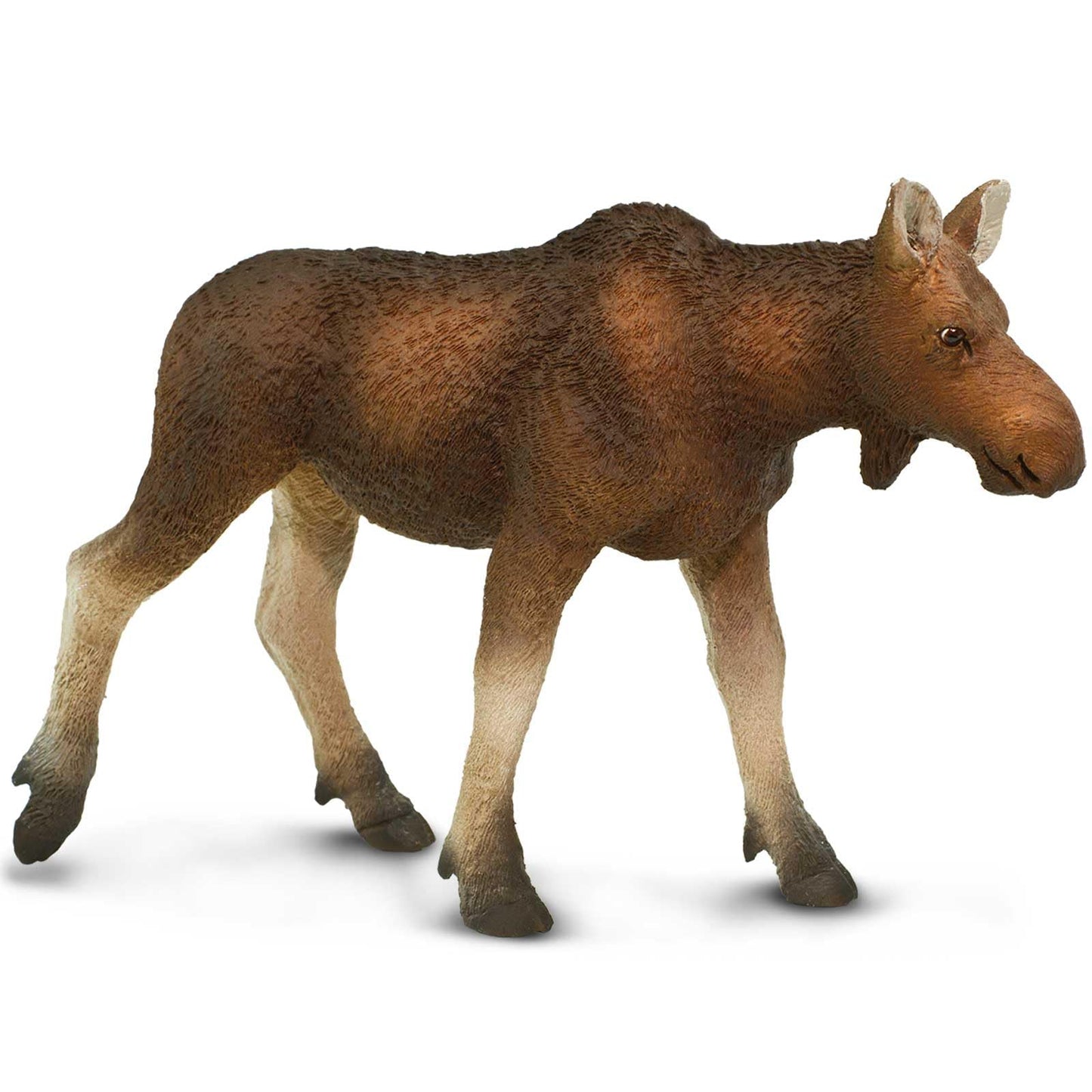 Safari Ltd. Cow Moose Figurine - Detailed 4.5" Plastic Model Figure - Fun Educational Play Toy for Boys, Girls & Kids Ages 1+