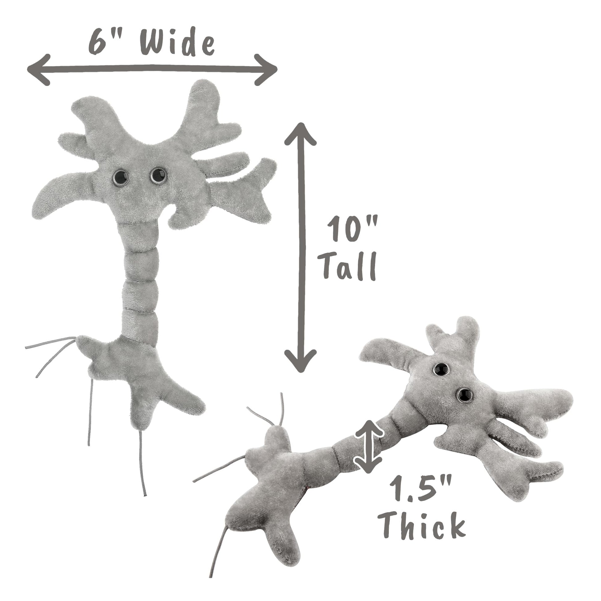 GIANT MICROBES Brain Cell Plush, Neuron Model Anatomy, Psychology Gifts