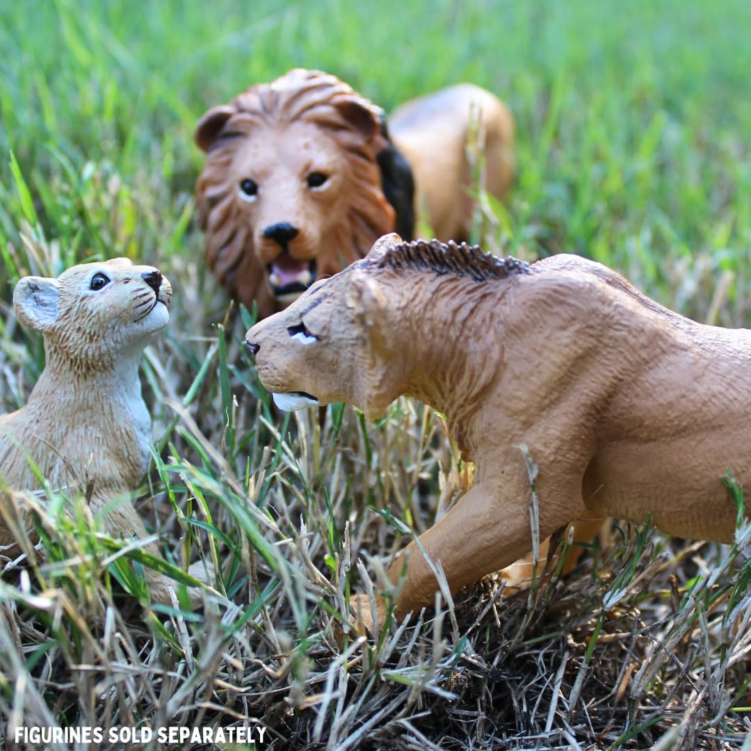 Safari Ltd. Adolescent Male Lion - Detailed 6" Wildlife Figurine - Educational Toy for Boys, Girls, and Kids Ages 3+