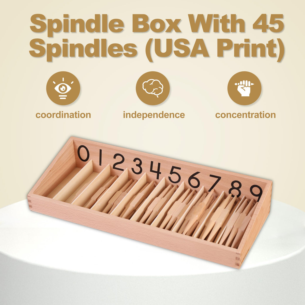 MONTESSORI OUTLET Spindle Box With 45 Spindles (USA Print) for 3-6 Years Montessori Education at School and Home