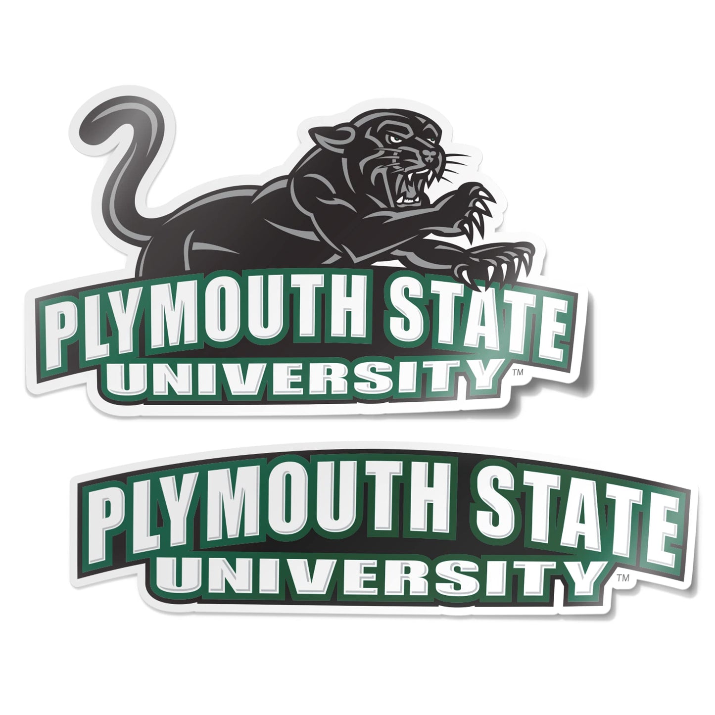 Desert Cactus Plymouth State University Sticker Panthers Vinyl Decal Laptop Water Bottle Car Scrapbook (4 Inch Set V1)