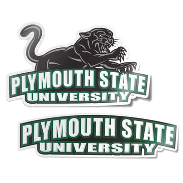 Desert Cactus Plymouth State University Sticker Panthers Vinyl Decal Laptop Water Bottle Car Scrapbook (4 Inch Set V1)