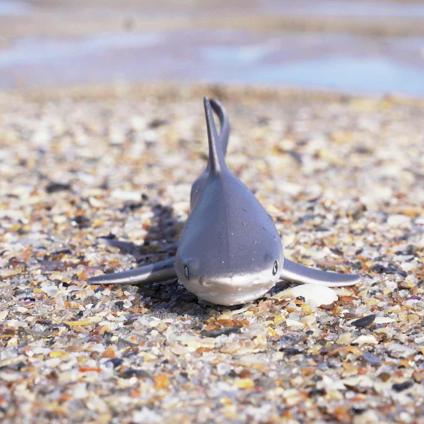 Safari Ltd. Gray Reef Shark Figurine - Detailed 6.25" Plastic Model Figure - Fun Educational Sea Life Play Toy for Boys, Girls & Kids Ages 3+