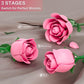Pink Rose Bouquet Building Set, Compatible with Lego Flowers for Adults Women, Botanical Collection Gift for Mother's Day & Valentine's Day Artificial