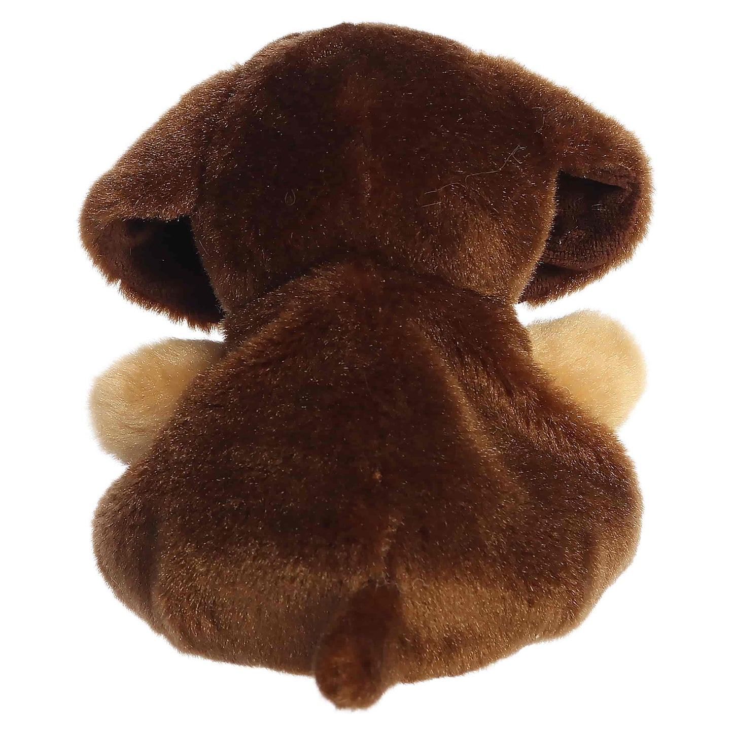 Aurora Adorable Palm Pals Houdini Dachshund Stuffed Animal - Fun Collectible Plush for Kids and Adult Collectors - Perfect for Decorating Rooms