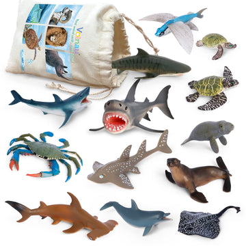 Volnau Sea Creature Toys Figures 13PCS Atlantic Ocean Shark Animals Figurines for Toddlers Kids Christmas Decoration Gift Plastic Fish Preschool Pack