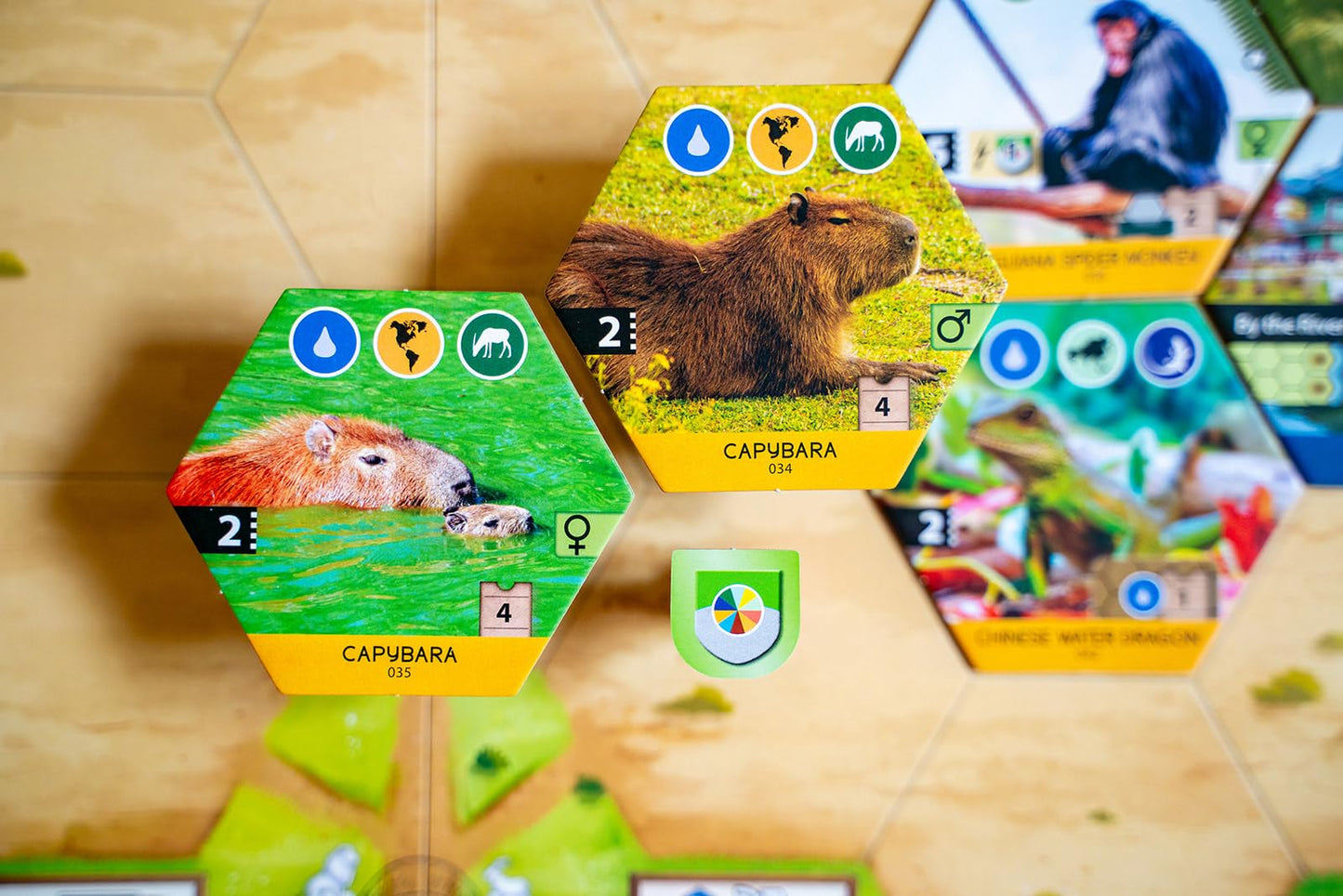 Capstone Games Sanctuary Animal-Themed Strategy Board Game