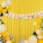 Gankbite Sunshine Girl 12 Month Photo Banner First Trip Decor Around The Sun Boho One 1st Birthday Decoration